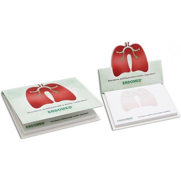 Yapışkanlı Not G22 / 2204