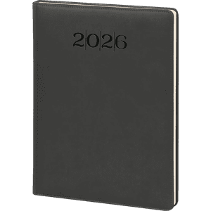 GÜNLÜK AJANDA MODEL 19