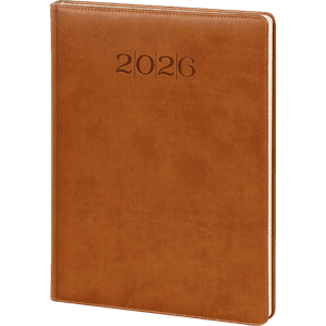 GÜNLÜK AJANDA MODEL 19