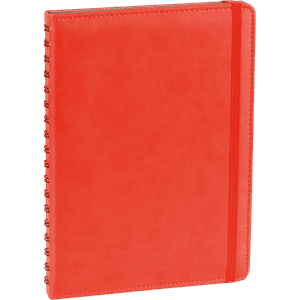 GÜNLÜK AJANDA MODEL 9