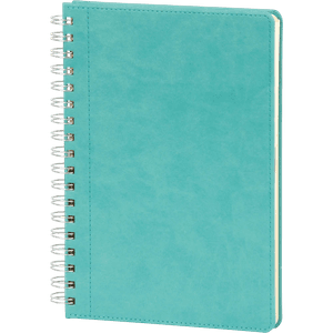 GÜNLÜK AJANDA MODEL 10