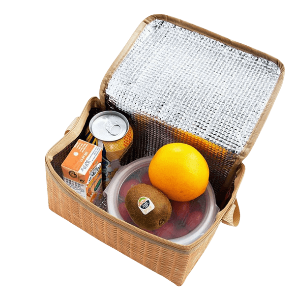 ED195 Soğutucu Çanta 